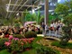 Dopo cinque esercizi consecutivi in perdita Fiera di Genova Spa chiude il 2014 in pareggio Dopo cinque esercizi consecutivi in perdita Fiera di Genova Spa chiude il 2014 in pareggio