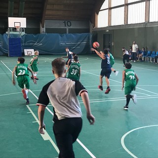 Basket. Esordienti, debutto vincente per l'Imperia Riviera dei Fiori