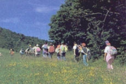 Libert� di esprimersi 2010: tutte le novit� e le escursioni