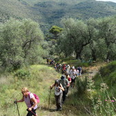 Bajardo: approvato il progetto per il ripristino dei sentieri escursionistici, intervento da oltre 72 mila euro Bajardo: approvato il progetto per il ripristino dei sentieri escursionistici, intervento da oltre 72 mila euro