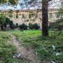Ex ospedale di Ventimiglia, Stefani: "Contestiamo il prezzo della vendita" Ex ospedale di Ventimiglia, Stefani: "Contestiamo il prezzo della vendita"