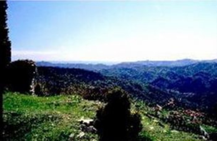 Calendario estivo della 2a ed. di 'Libert� di Esprimersi'