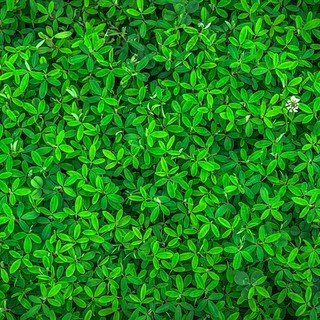 Cinque semplici consigli per vivere in modo green e per fare la differenza nel nostro piccolo