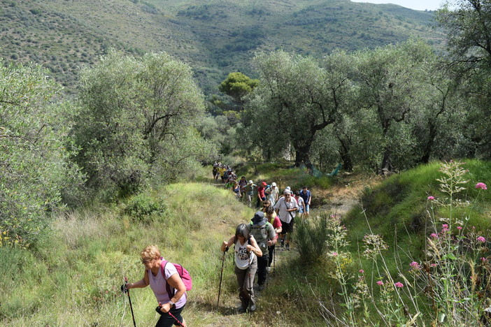 Bajardo: approvato il progetto per il ripristino dei sentieri escursionistici, intervento da oltre 72 mila euro