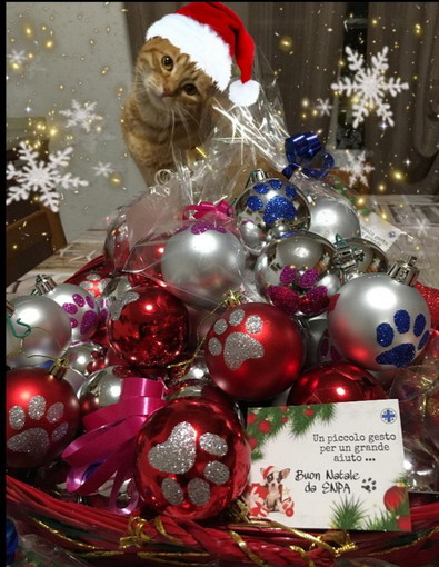 Arma di Taggia: l'Enpa al Pet Store de La Riviera ShopVille Conad per augurare Buon Natale