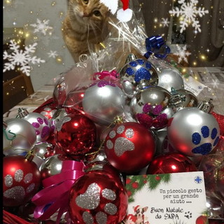 Arma di Taggia: l'Enpa al Pet Store de La Riviera ShopVille Conad per augurare Buon Natale