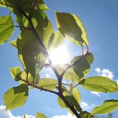 Attivazione e spegnimento del contatore gratuiti con eVISO