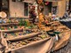 Cervo: al via l'Eco Festival 'Nuovamente', ecco le più belle foto della prima giornata