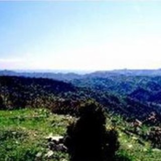 A fine mese la 19� Festa della Croce Bianca di Pornassio