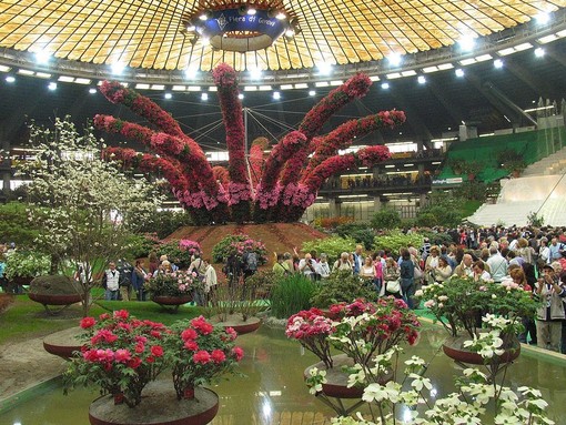 Euroflora 2011: domani visita al salone del Presidente della Regione Burlando