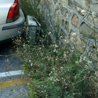 Sanremo: cittadina segnala erbacce infestanti nel parcheggio di fronte all'ingresso del cimitero Foce Sanremo: cittadina segnala erbacce infestanti nel parcheggio di fronte all'ingresso del cimitero Foce