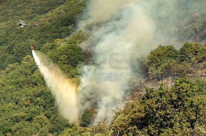 Incendio boschivo nella zona di Tavole: Vigili del Fuoco, Protezione Civile ed elicotteri impegnati nello spegnimento Incendio boschivo nella zona di Tavole: Vigili del Fuoco, Protezione Civile ed elicotteri impegnati nello spegnimento