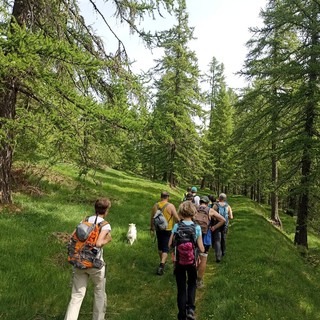 Al via la 2ª edizione delle escursioni guidate nel Parco delle Alpi Liguri. Alessandri: &quot;Una meravigliosa full immersion nel nostro entroterra&quot;