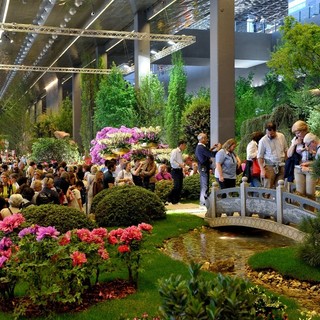 Dopo cinque esercizi consecutivi in perdita Fiera di Genova Spa chiude il 2014 in pareggio Dopo cinque esercizi consecutivi in perdita Fiera di Genova Spa chiude il 2014 in pareggio