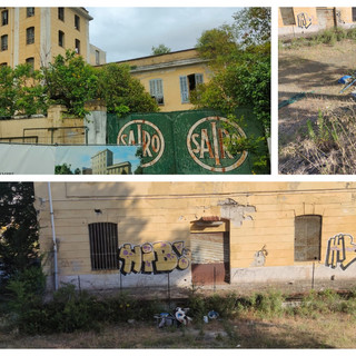 Imperia, topi e rifiuti in attesa che la riqualificazione dell’ex Sairo decolli Imperia, topi e rifiuti in attesa che la riqualificazione dell’ex Sairo decolli