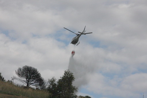 Vasia: grosso incendio in atto, intervento dei mezzi aerei