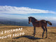 Nel giorno di Santo Stefano una escursione sul Monte Faudo con Ponente Experience Nel giorno di Santo Stefano una escursione sul Monte Faudo con Ponente Experience