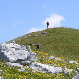 Tornano le visite guidate a Sanremo e Bordighera della cooperativa Arcadia– Liguria da Scoprire: