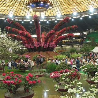Euroflora 2011: domani visita al salone del Presidente della Regione Burlando