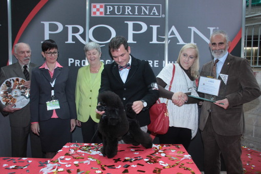 Il Presidente del Comitato di promozione attività cinofile di Sanremo consegna la targa offerta dal Comune di Sanremo al proprietario del soggetto di razza barbone toy 'Potion di Foscalberto' vincitore della manifestazione, dottoressa Elisa Signorini Il Presidente del Comitato di promozione attività cinofile di Sanremo consegna la targa offerta dal Comune di Sanremo al proprietario del soggetto di razza barbone toy 'Potion di Foscalberto' vincitore della manifestazione, dottoressa Elisa Signorini