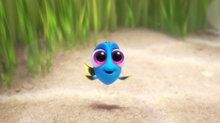 Riva Ligure: questa sera alla Spiaggia dei Tamerici, proiezione del film d'animazione 'Alla ricerca di Dory'