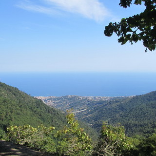 Sanremo: ‘La Terra è fatta di cielo’ torna il ‘Festival dei Boschi’. Novità e speciale attrazione della mongolfiera Sanremo: ‘La Terra è fatta di cielo’ torna il ‘Festival dei Boschi’. Novità e speciale attrazione della mongolfiera