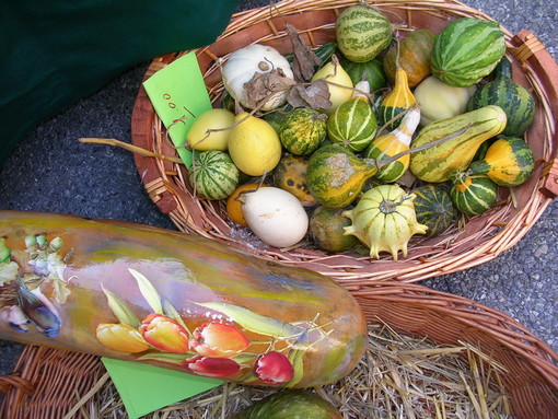 Vallecrosia: domenica 6 ottobre gita alla Festa della Zucca di Piozzo