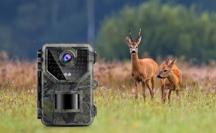 Fototrappole per animali, rifiuti e intrusi_ guida completa al monitoraggio e sicurezza