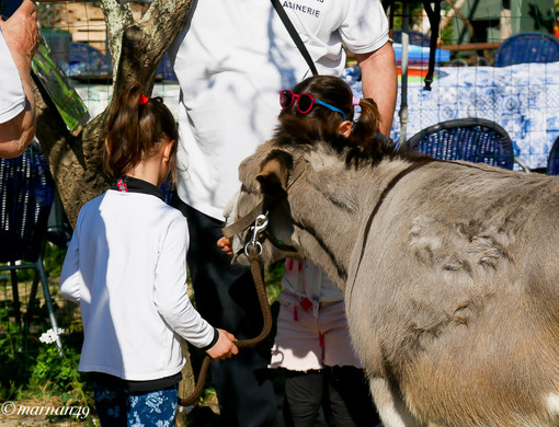 Cervo: festa di Primavera all'asineria del Ciapà sul Sentiero Liguria. Le foto di Marcello Nan