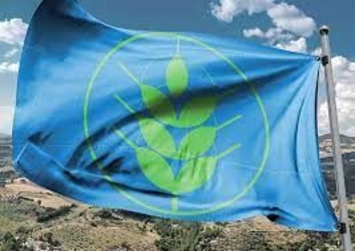 Riconfermato il marchio di qualità ambientale ‘Spighe Verdi’ al Comune di Sanremo Riconfermato il marchio di qualità ambientale ‘Spighe Verdi’ al Comune di Sanremo