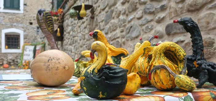 Vallecrosia: le più belle foto della 'Festa della Zucca 2013' di quest'oggi