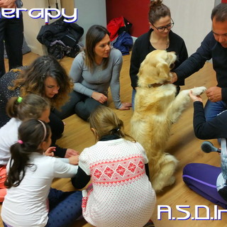 Sanremo: alla Asd Insieme in partenza il corso formativo per la qualifica di operatore di Pet Therapy Sanremo: alla Asd Insieme in partenza il corso formativo per la qualifica di operatore di Pet Therapy