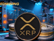 Con l'indebolimento delle criptovalute, i possessori di XRP stanno optando per il cloud mining di Fedmining, ottenendo un reddito giornaliero stabile di 9.900 dollari
