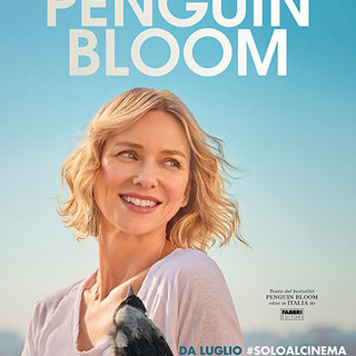 CINEMA: orari, trame e stellette dei film in programmazione oggi, venerdì 16 luglio 2021 CINEMA: orari, trame e stellette dei film in programmazione oggi, venerdì 16 luglio 2021