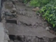 Ventimiglia, Scullino: "Fognatura danneggiata alla spiaggia del Darsenun a Grimaldi, serve intervento urgente" (Video) Ventimiglia, Scullino: "Fognatura danneggiata alla spiaggia del Darsenun a Grimaldi, serve intervento urgente" (Video)