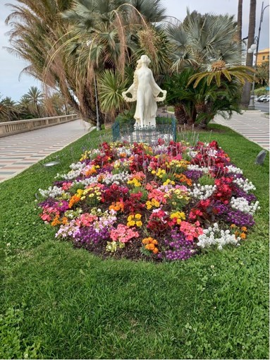 Anche le aiuole e i giardini di Sanremo si rifanno il look, ecco le coloratissime fioriture primaverili (foto)
