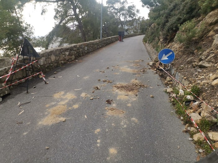 Sanremo, frana in strada Capo Nero: intervento dei vigili del fuoco (Foto) Sanremo, frana in strada Capo Nero: intervento dei vigili del fuoco (Foto)