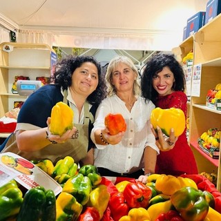 Il peperone tra mito, terra e tavola: a LIVE.IT Renata Cantamessa dialoga con Michele A. Fino e Renata Fiorina Il peperone tra mito, terra e tavola: a LIVE.IT Renata Cantamessa dialoga con Michele A. Fino e Renata Fiorina