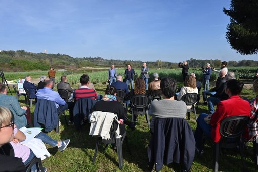 Foto: Barbara Guazzone