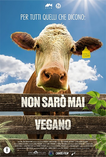 CINEMA: orari, trame e stellette dei film in programmazione oggi, martedì 20 maggio 2025