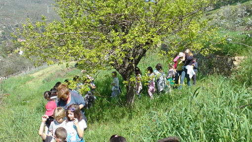 Seborga: il 24 settembre la Fattoria didattica Monaci Templari aderisce alla Giornata delle Fattorie didattiche aperte della Regione Liguria