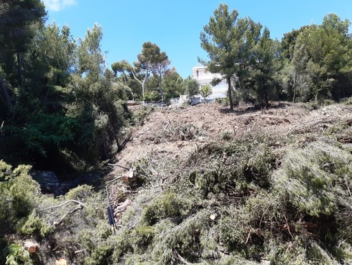 Frana a Cervo, la riapertura dell'Aurelia non avverrà in tempi brevi. Oggi il sopralluogo di tecnici e ditta incaricata dei lavori (foto) Frana a Cervo, la riapertura dell'Aurelia non avverrà in tempi brevi. Oggi il sopralluogo di tecnici e ditta incaricata dei lavori (foto)