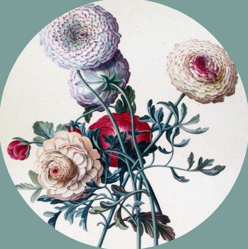 Comune della 'Riviera dei Fiori' fuori dall’Istituto Regionale per la Floricoltura: il caso Bordighera, “mancano” gli operatori florovivaistici Comune della 'Riviera dei Fiori' fuori dall’Istituto Regionale per la Floricoltura: il caso Bordighera, “mancano” gli operatori florovivaistici