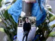 Sanremo: un mazzo di fiori è comparso nel luogo dove è deceduto il giovane albanese Irdi Duda
