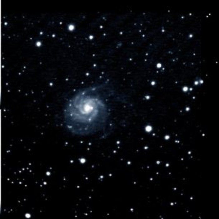 Sanremo: domenica prossima un 'San Valentino' in compagnia delle stelle in località San Romolo