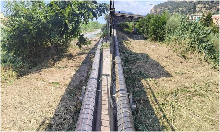 Ventimiglia, vegetazione e rifiuti nel fiume Roya: al via la pulizia (Foto) Ventimiglia, vegetazione e rifiuti nel fiume Roya: al via la pulizia (Foto)