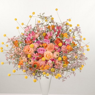 Dal 13 al 16 marzo a Sanremo torna il Festival dei fiori promosso dalle associazioni di categoria e dalla Camera di Commercio Dal 13 al 16 marzo a Sanremo torna il Festival dei fiori promosso dalle associazioni di categoria e dalla Camera di Commercio