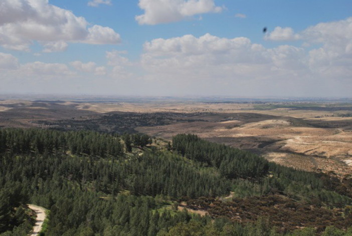 A Gerusalemme un bosco per onorare la memoria dei magistrati italiani A Gerusalemme un bosco per onorare la memoria dei magistrati italiani
