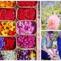 Ventimiglia, i fiori di eduli coltivati a Castel d'Appio sbarcano su Arte tv Ventimiglia, i fiori di eduli coltivati a Castel d'Appio sbarcano su Arte tv