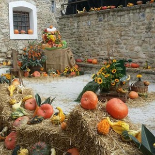 Festa della Zucca a Vallecrosia